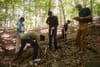 Research and restoration intersect in woods